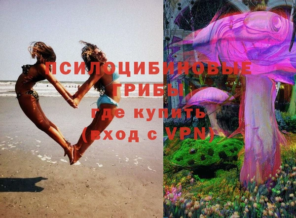 спайс Алзамай