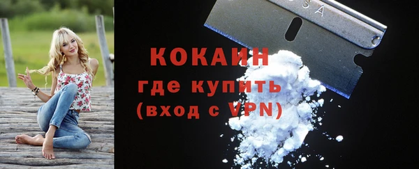 спайс Алзамай