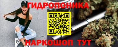 стаф Моздок