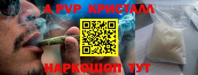 стаф Моздок