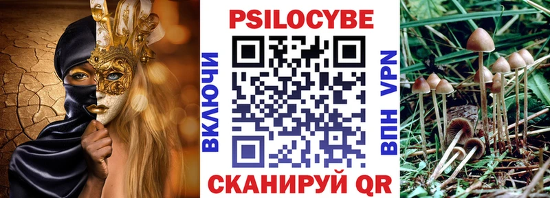Галлюциногенные грибы MAGIC MUSHROOMS  KRAKEN как войти  Дюртюли 