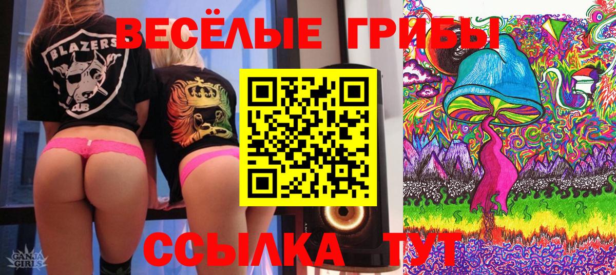 Дюртюли  Псилоцибиновые грибы ЛСД  Вход с VPN 
